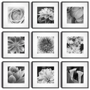 kit-quadros-elegancia-botanica-preto-e-branco-greenery