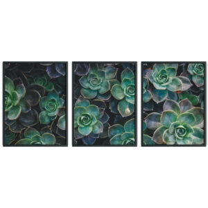 kit-quadros-decorativos-verdejante-natureza-vibrante-em-arte